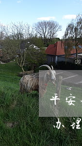 平安银行信用卡app下载（平安银行储蓄卡办理）