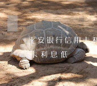 平安银行信用卡利息低吗知乎（平安银行信用卡利息低）