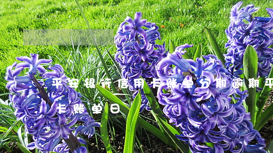平安银行信用卡账单分期逾期(平安银行信用卡 账单日)
