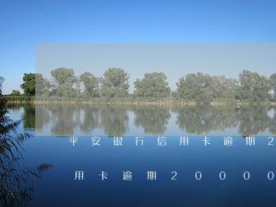 平安银行信用卡逾期20000(平安银行信用卡逾期20000会被起诉吗)