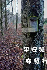 平安银行信用卡逾期3000会被起诉吗?(平安银行信用卡逾期3000会被起诉吗知乎)