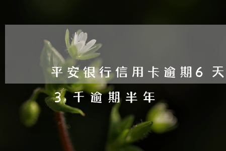 平安银行信用卡逾期6天有事吗 平安信用卡3千逾期半年
