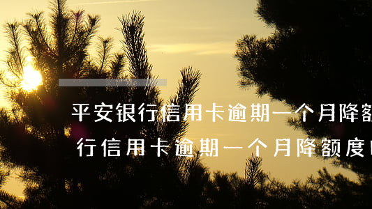 平安银行信用卡逾期一个月降额度-平安银行信用卡逾期一个月降额度吗