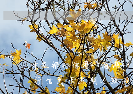 平安银行信用卡逾期一天还款利息-平安银行信用卡逾期还款利息多少