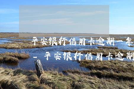 平安银行信用卡逾期一年多了准备被起诉了-平安银行信用卡逾期一年多了准备被起诉了怎么办