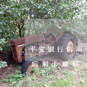 平安银行信用卡逾期一年多协商-平安银行信用卡逾期一年多协商还款