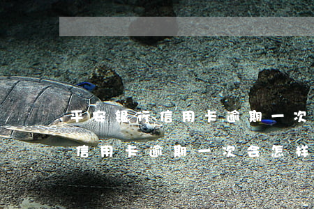 平安银行信用卡逾期一次会怎样-平安银行信用卡逾期一次会怎样处理