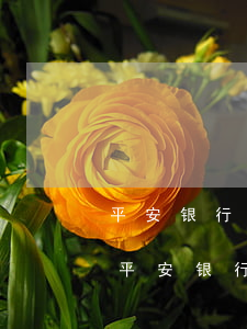 平安银行信用卡逾期五天会有不良记录吗-平安银行信用卡逾期五天会有不良记录吗