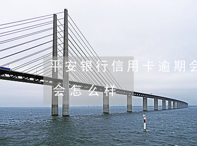 平安银行信用卡逾期会拉黑吗(平安信贷逾期会怎么样)