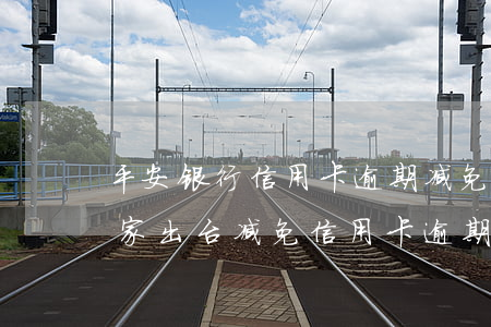 平安银行信用卡逾期减免政策是真的吗-国家出台减免信用卡逾期政策