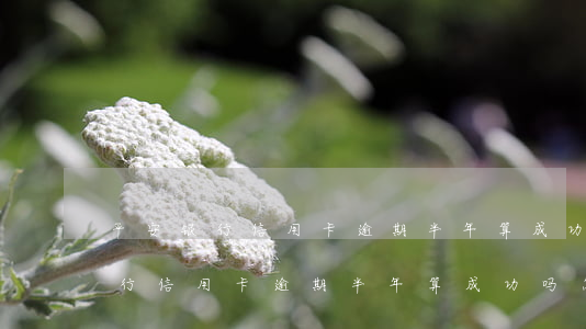 平安银行信用卡逾期半年算成功吗-平安银行信用卡逾期半年算成功吗怎么办