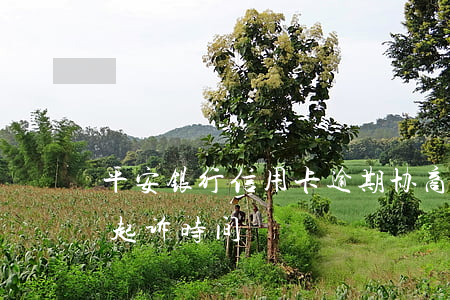 平安银行信用卡逾期：协商还款政策及可能被起诉时间