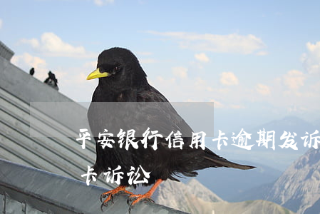 平安银行信用卡逾期发诉前调解(被平安信用卡诉讼)