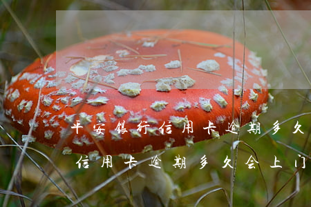 平安银行信用卡逾期多久会上门-平安银行信用卡逾期多久会上门调查情况