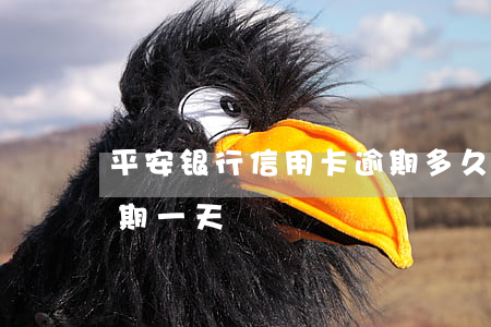 平安银行信用卡逾期多久会解(平安信用卡 逾期一天)