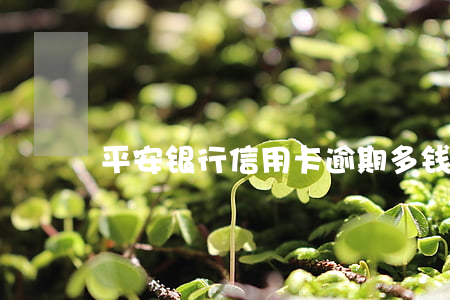 平安银行信用卡逾期多钱
