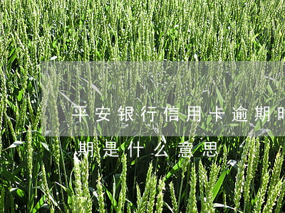 平安银行信用卡逾期时间是(平安银行卡片逾期是什么意思)