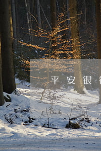 平安银行信用卡逾期法务信函