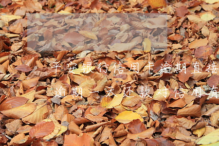 平安银行信用卡逾期直接还卡上吗 平安银行逾期一天还款对信用有影响吗