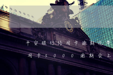 平安银行信用卡逾期说带律师上门-平安信用卡5000逾期会上门调查吗