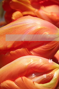 平安银行信用逾期了冻结我的卡怎么去用（平安信用卡逾期17天会冻结嘛）