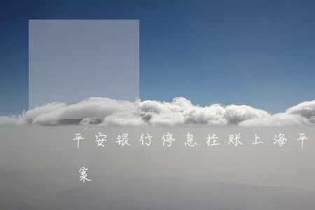 平安银行停息挂账上海(平安银行停息分期方案)