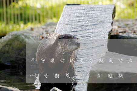 平安银行协商分期成功后又逾期（平安银行协商分期成功后又逾期）