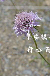 平安银行协商还款是微信提交资料-平安银行协商还款是微信提交资料吗