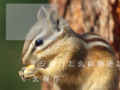 平安银行怎么逾期还款(平安银行延期还款怎么操作)