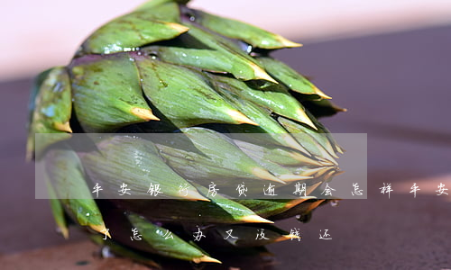 平安银行房贷逾期会怎样(平安银行贷款逾期了怎么办又没钱还)