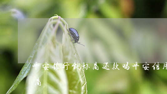 平安银行能协商还款吗（平安信用卡能不能协商）