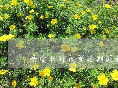 平安银行设置逾期彩铃是真的吗