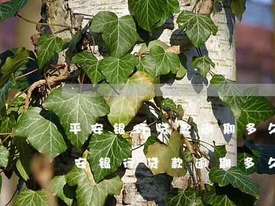 平安银行贷款逾期多久真的会被起诉吗?-平安银行贷款逾期多久真的会被起诉吗知乎
