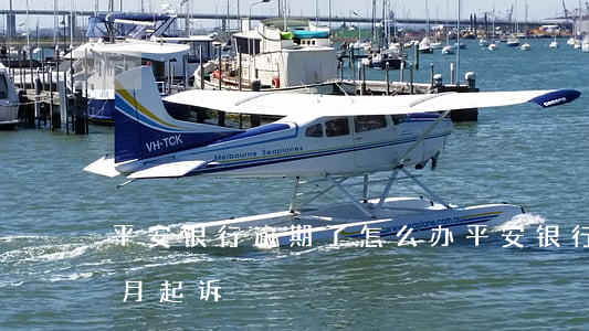平安银行逾期了怎么办 平安银行逾期2个半月起诉