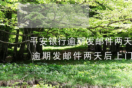 平安银行逾期发邮件两天后上门-平安银行逾期发邮件两天后上门催收