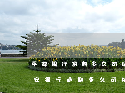 平安银行逾期多久可以协商个性化分期-平安银行逾期多久可以协商个性化分期还款