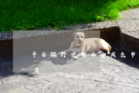 平安银行逾期本金减免申请书：如何撰写及提交