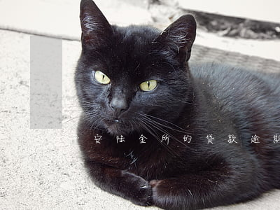 平安陆金所的贷款逾期(平安持有陆金所股份)