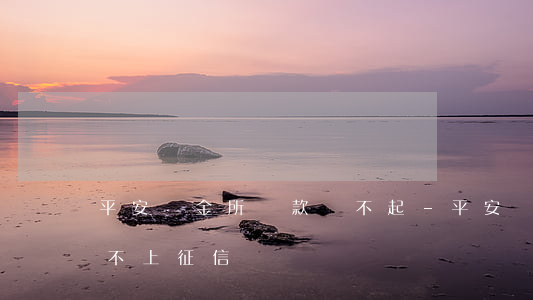 平安陸金所貸款還不起-平安陸金所放款上不上征信