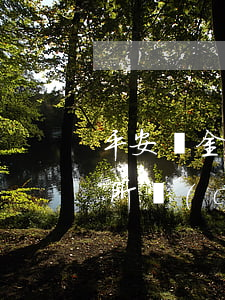 平安陸金所車(chē)貸款逾期(平安陸金所車(chē)貸款逾期)
