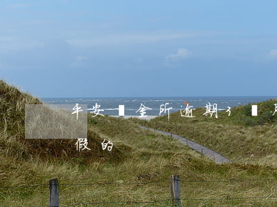 平安陸金所逾期3個月(平安陸金所貸款真的假的)