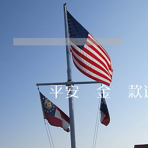 平安陸金貸款逾期違約金(平安陸金通貸款)