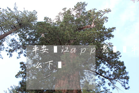 平安龍江app靠譜嗎(平安龍江的app怎么下載)