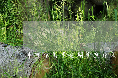 平度信用卡逾期(平度信用卡逾期)