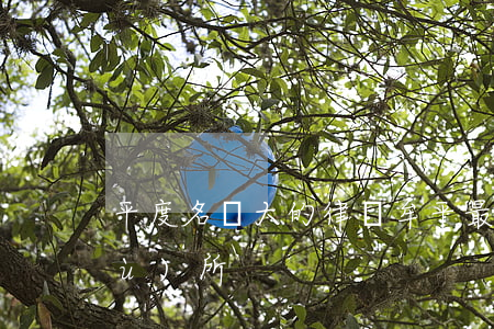 平度名氣大的律師(牟平最好的律師事務(wù)所)