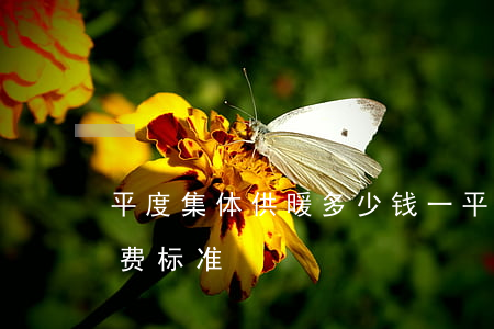 平度集体供暖多少钱一平方(平度供暖公司收费标准)