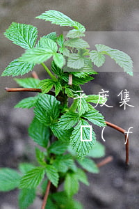 平度集體供暖多少錢一平方(平度供暖公司收費(fèi)標(biāo)準(zhǔn))