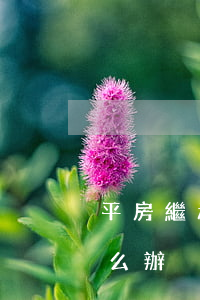 平房繼承怎么處理(平房繼承手續(xù)怎么辦)
