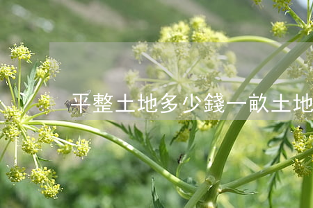 平整土地多少錢一畝(土地一畝多少平方)