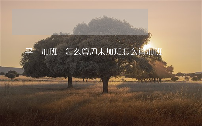 平時加班費怎么算(周末加班怎么算加班費)